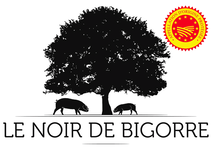 NOIR DE BIGORRE