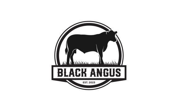 ANGUS NOIR